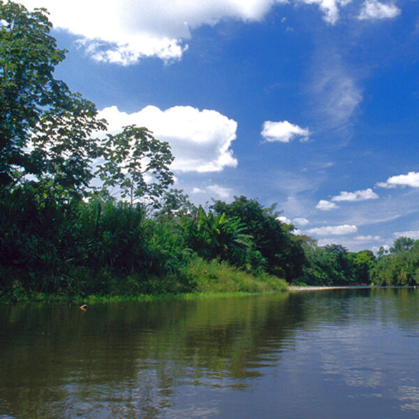 Travel group to Darien National Park